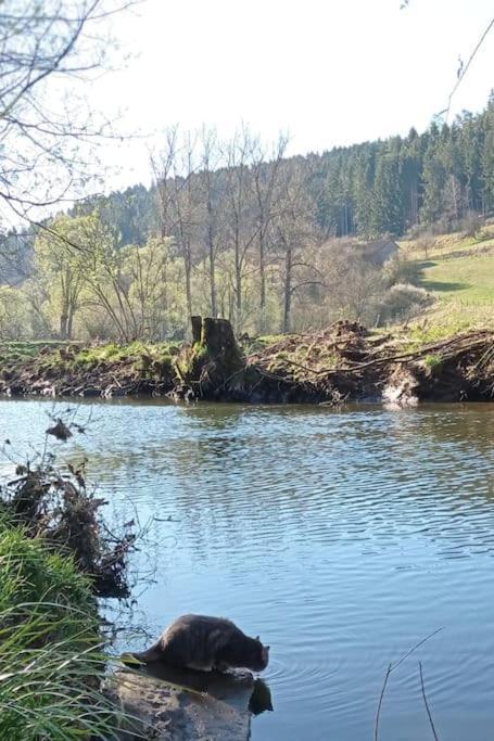 Ferienglueck Im Schwarzwald Lägenhet Zimmern ob Rottweil Exteriör bild