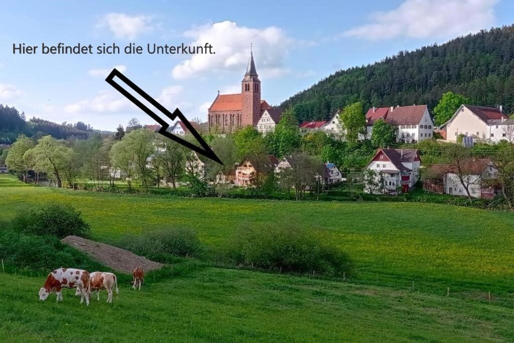 Ferienglueck Im Schwarzwald Lägenhet Zimmern ob Rottweil Exteriör bild
